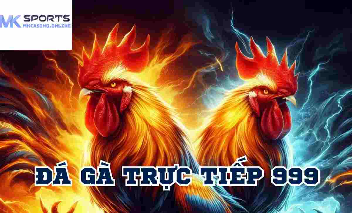 Giới Thiệu Đá Gà Trực Tiếp 999 Tại MKcasino